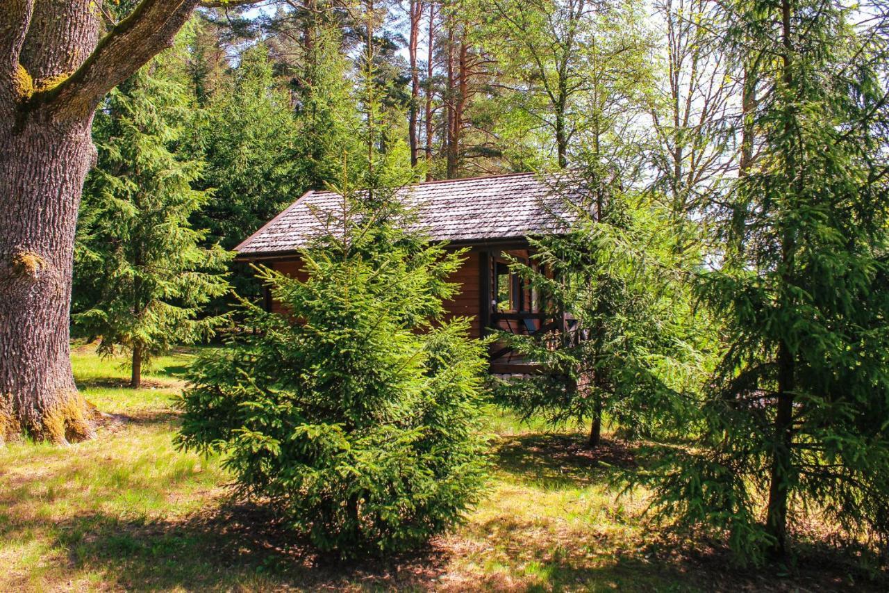 Kempings Lejasbisenieki Turaida Exterior photo